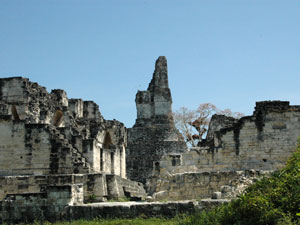 Tikal