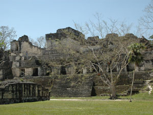 Tikal