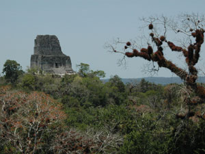 Tikal