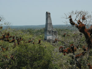 Tikal