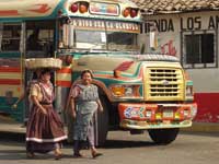 Camions, Cars, Bus
