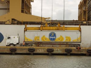 Exportation de Bananes