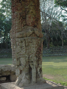 Copan St&egrave;le C