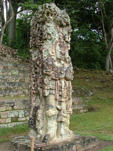 Copan St&egrave;le D