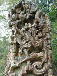 Copan St&egrave;le D