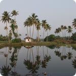 Inde du Sud, Backwaters, Kerala