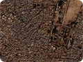 Bikaner