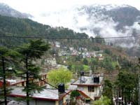 Dharamsala - McLeod Gang