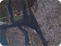 Kochi - Cochin