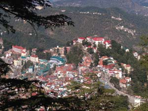 Shimla