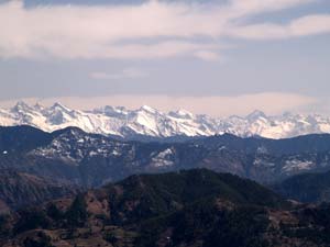 Shimla