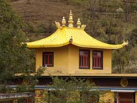 Tashi Jong