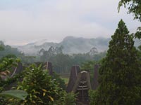 Sulawesi - Pays Toraja