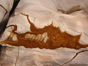 Beidah (la "Petite Petra")