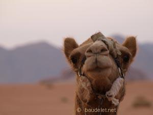 Wadi Rum