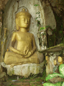 Vang Sang