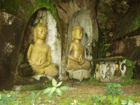 Vang Sang