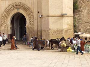 Fes - Fez