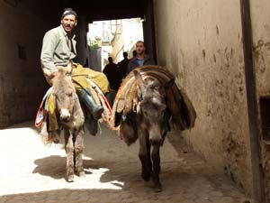 Fes - Fez