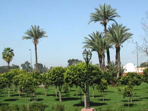 Marrakech