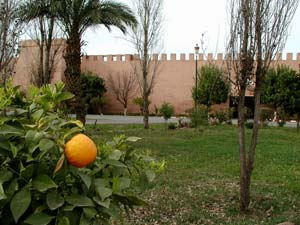 Marrakech