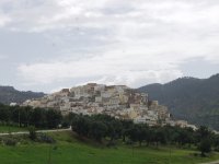 Moulay Idriss Zerhoune