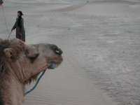 Ouarzazate