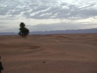 Ouarzazate