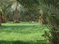 Ouarzazate