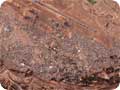 Ouarzazate