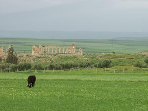 Monuments de Volubilis