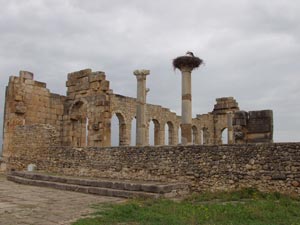Volubilis