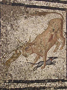 Volubilis - Chiens attaquant le taureau