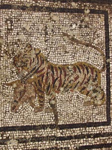 Volubilis - Tigre et tête d'antilope