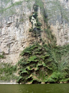 Canon del Sumidero