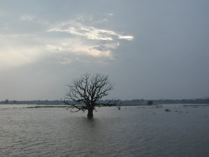 Mandalay