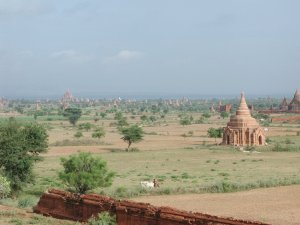 Pagan - Bagan