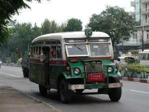 Bus