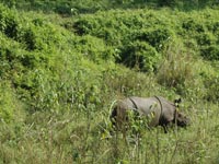 Chitwan National Park
