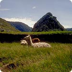 Pérou, Machu Picchu