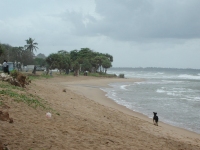 Plage du Sri Lanka