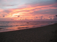 Plage du Sri Lanka