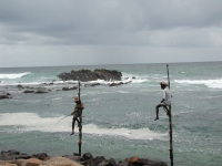 Plage du Sri Lanka