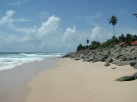 Plage du Sri Lanka