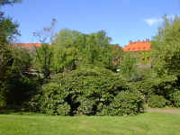 Goteborg
