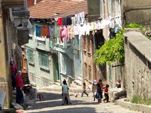 Fener