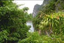 Baie d'Ha Long