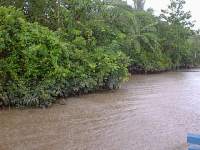 Delta du Mekong