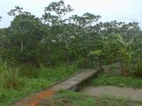 Delta du Mekong