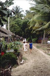 Delta du Mekong